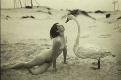 naked-yogi:  acetylene-eyes:   Marcel Meys - Leda and the Swan