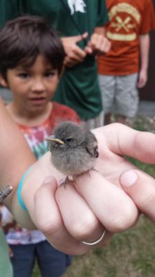 One of my campers stumbled upon a real Life ‘Angry Bird’.