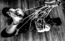 candywinter-shibari:Bunny or Rigger the secret is to be cool