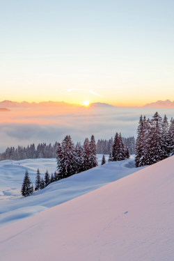 expressions-of-nature:  Sunset in the Alps, Austria : Manfred