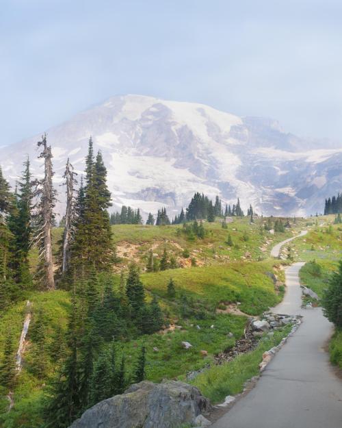 oneshotolive:  Mount Rainier Skyline Trail- Washington, USA [OC][2073