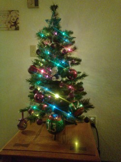 Our little tree that we put up over the weekend. The two giant