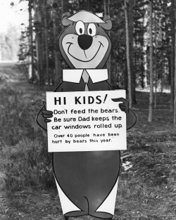 fortunecookied:  Yogi Bear with “Don’t feed the bears”