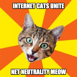 themediafix:  Internet cats unite for REAL Net Neutrality! 