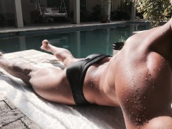 hardinmyspeedos:  Fantastic ass… 