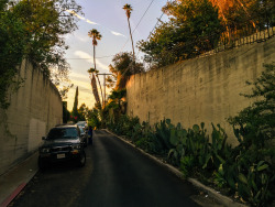 gabedonohoe:  Just around the corner. I don’t think this street