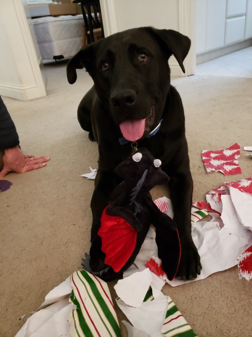 A Merry Christmas Frisbee appears!