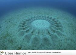 omg-pictures:  Amazing underwater ‘crop circles’ spun by