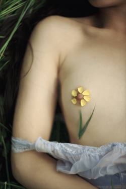 excisions:  Bouton d’Or (by Alexandra Sophie) 