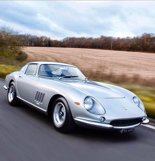 frenchcurious:Ferrari 275 GTB 08069 1965. - source Classic Ferrari’s