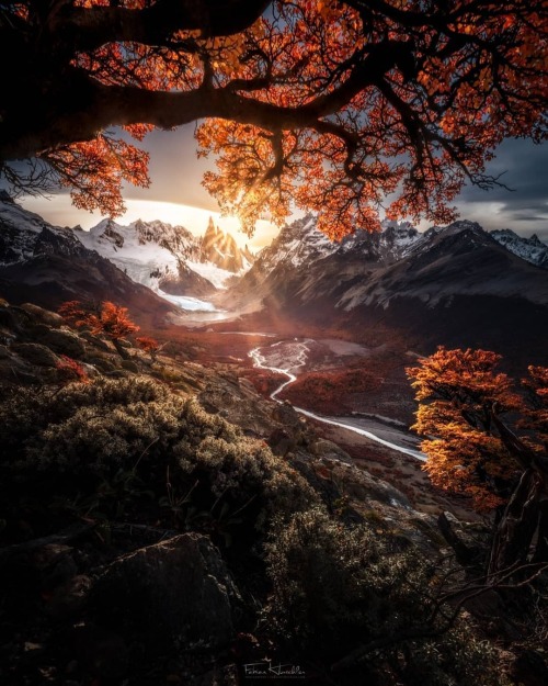 throughwinterfields:fabianhurschler