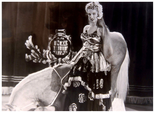 Frances DuBay (and her Educated Stallion)     Vintage 50’s-era publicity still promoting a ‘Broadway Roadshow Productions’ film recording of her: “LADY GODIVA” act.. The horse was a mare named “Melody Lady”, and disrobed