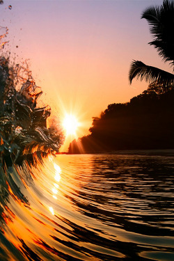 sundxwn:  wave by Vitaliy Sokol 