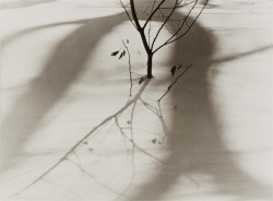 zzzze:  Ralph Steiner Untitled / Hanging sheets; n.d. Gelatin