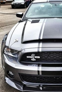 tunedandracecars:    Shelby GT500 Super Snake  