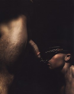 gayeroticartarchive:  art by Ulf Raynor