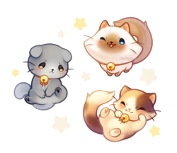 fluffysheeps:  Kitty pals! =＾● ⋏ ●＾=They’re also