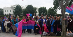 bi-trans-alliance:  September 21, 2015:  Impromptu bi rally