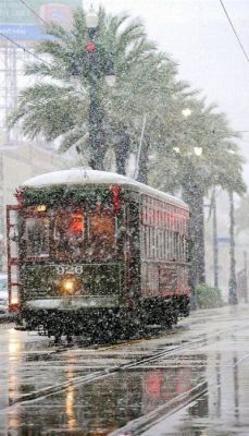 best-things:    An unexpected snowfall in New Orleans, Louisiana