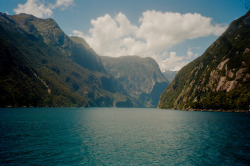 Milford Sound, NZ