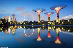tru2uu:  Gardens By The Bay - Singapore Opened in June 2012,