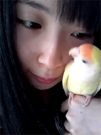 girls48:  ChuriPapi~~ (≧∇≦)