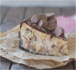 fullcravings:  Reeses Peanut Butter Cheesecake