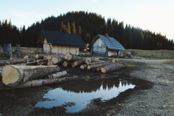 eartheld:  trianglesaremyfav:  Weekend spent in a cabin.   mostly