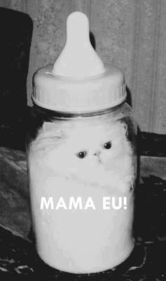 revelacoesdeumameninasonhadora.tumblr.com/post/44244264625/