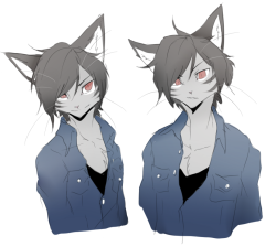 kaziearts:   I got a problem with good looking cats