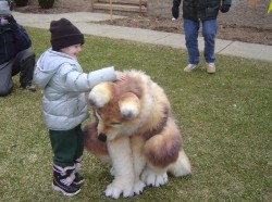 fedorapunk:  I thought this was a really large dog for a second,