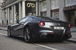 wellisnthatnice:  grey back by Daviel Stosca on Flickr. 