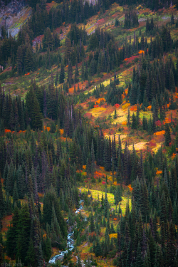 expressions-of-nature:  By: Ben Marar
