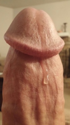 cutmeat.tumblr.com/post/113298388375/