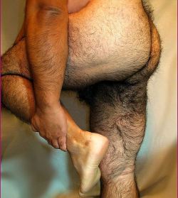 Hairy dads love hairy butts