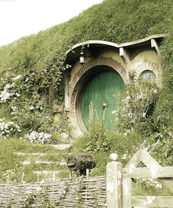 vaulthunterexe-archive-deactiva:    In a hole in the ground,