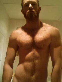 hairy-chests:  ginger