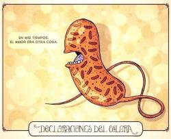acidogenica:  El amor en los tiempos del cólera - Gabriel García