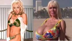 faketitsorbust:  Elizabeth Starr: before and after. If that doesnâ€™t