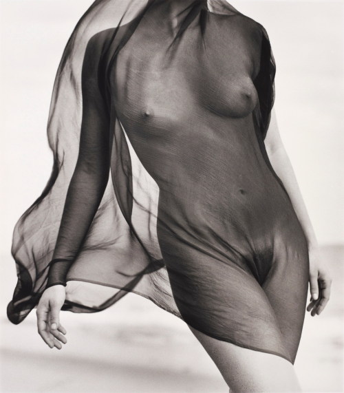 gacougnol:  Herb Ritts