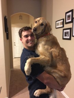cute-overload:My dog still thinks he’s a babyhttp://cute-overload.tumblr.com