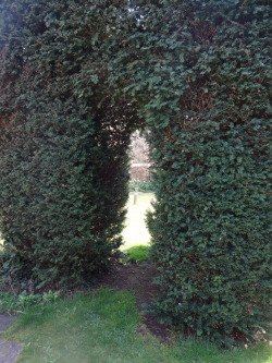 sightofthetombs:  St Nicholas Churchyard,Little Bowden. 