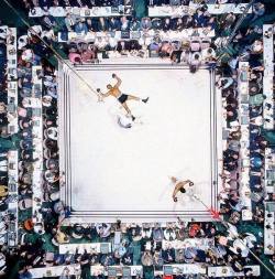 historicaltimes:  An aerial shot of Muhammad Ali after knocking