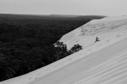 unabletoventure:  Into the wild (by Fredrik Sundqvist)