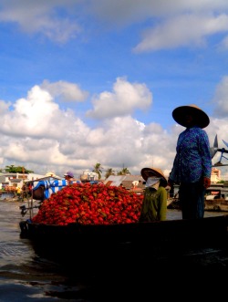 myworldview-photography:  “Dragon Fruit” Mekong Delta