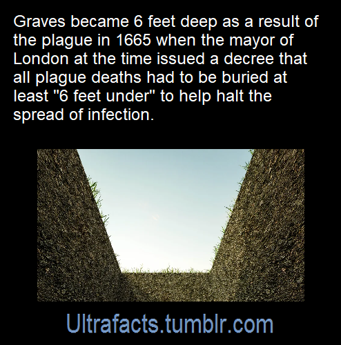 ultrafacts: Source: [x] Follow Ultrafacts for more facts! 