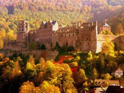 ferimus:Autumn, Heidelberg Castle, Germany