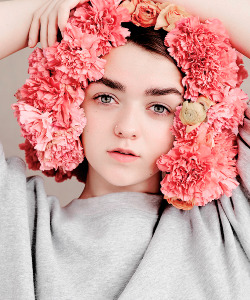 rhaenastargaryen-deactivated201: Maisie Williams, photographed