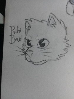 I tried to draw a cat, it was cool i guess
