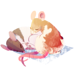 saracastically:  commission of two cuddly rat pals!  commissions